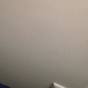 Meet your Posher, Felicia