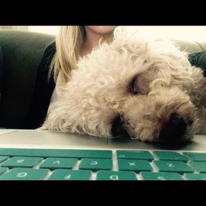 Meet your Posher, Mac
