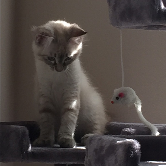 Meet your Posher! - Picture 2 of 4