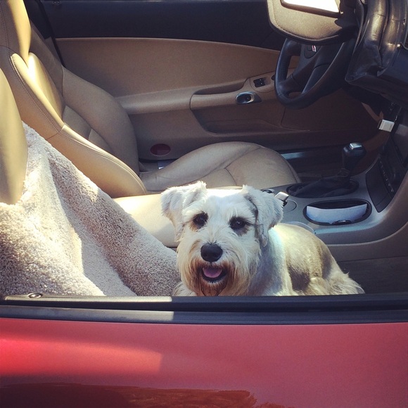 Meet your seller/buyer - Picture 4 of 4