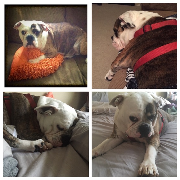 Meet the Posher - Picture 3 of 4