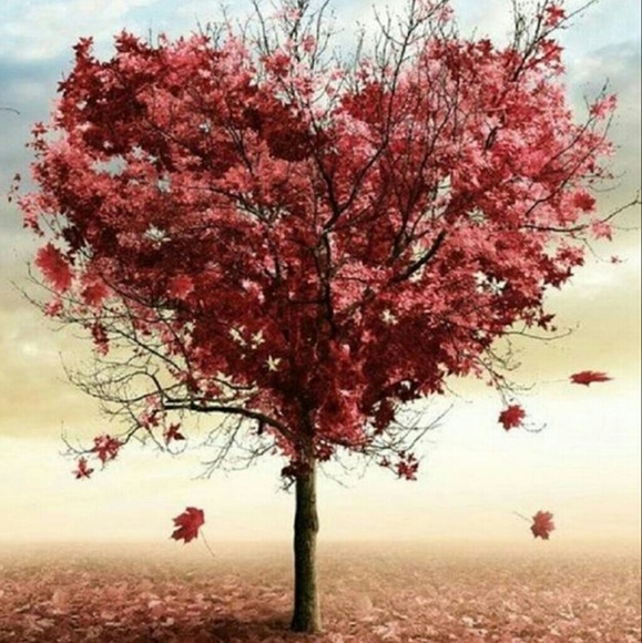 Meet the Posher - Picture 4 of 4