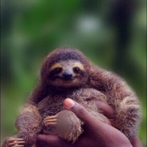 Meet your Posher, Kaley