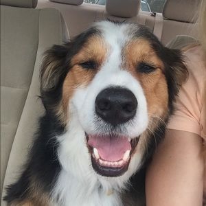 Meet your Posher, Traci