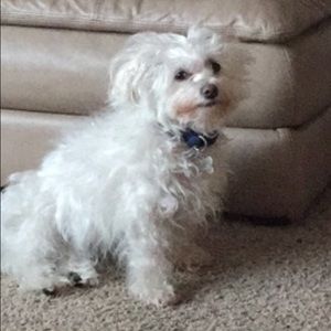 Meet your Posher, Adley