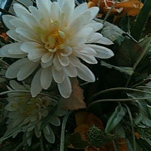 Meet your Posher, Destiny