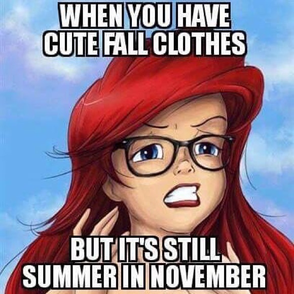 🎉Meet your posher!🎉 - Picture 4 of 4