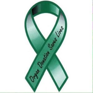 Meet your Posher, Misty