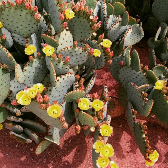 Meet the Seller - Picture 3 of 4