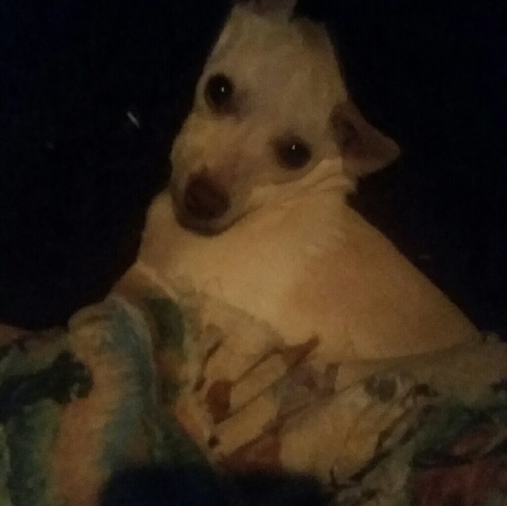 PLEASE READ BEFORE SHOPPING MY STORE.