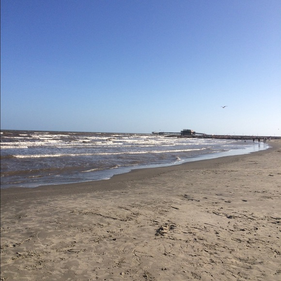 Meet your Posher, Nicki - Picture 1 of 1