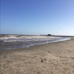 Meet your Posher, Nicki