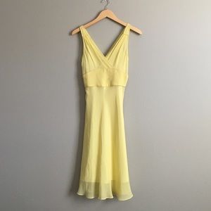 Express Silk chiffon dress