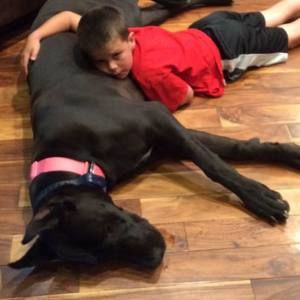 Meet your Posher, Dawn