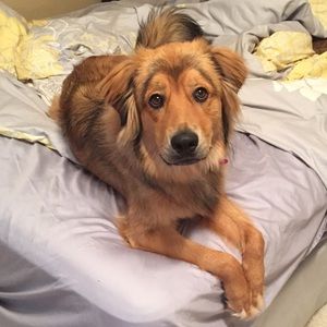 Meet your Posher, Katelynn