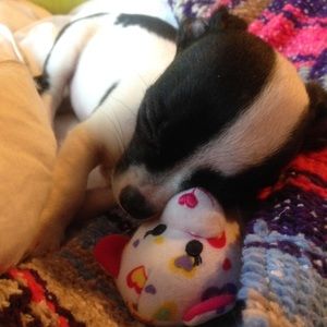 Meet your Posher, Tionna