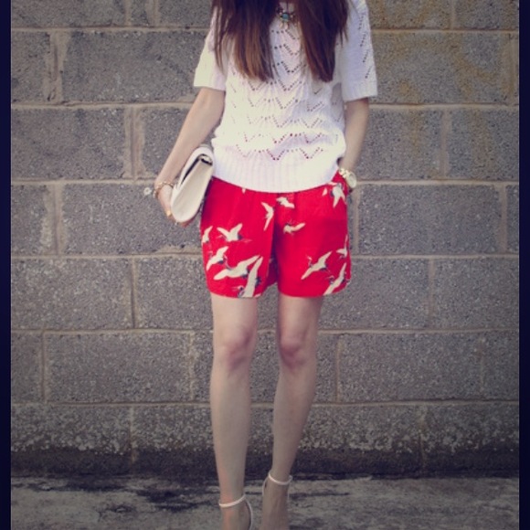 🎉 PM Shared 🎉 Zara dress shorts