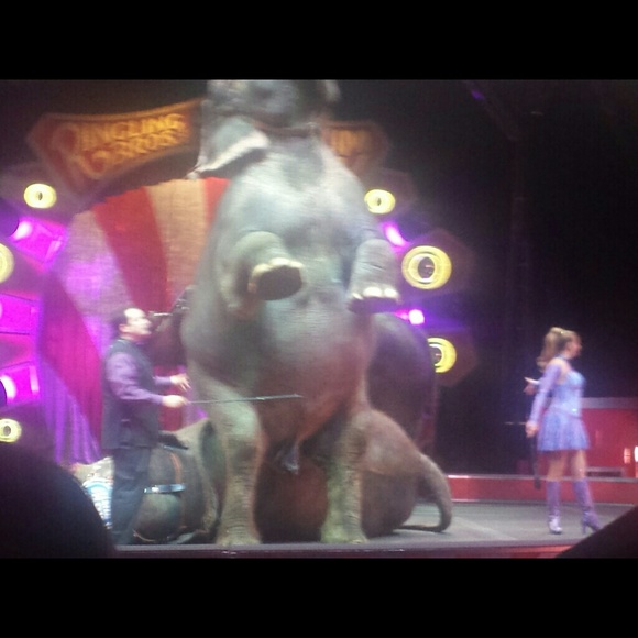 Meet your Posher, Stephanie - Picture 1 of 1