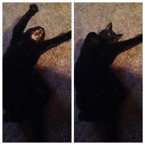 Meet your seller! - Picture 2 of 4