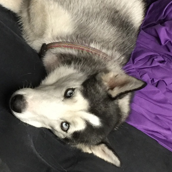 Meet your seller! - Picture 3 of 4