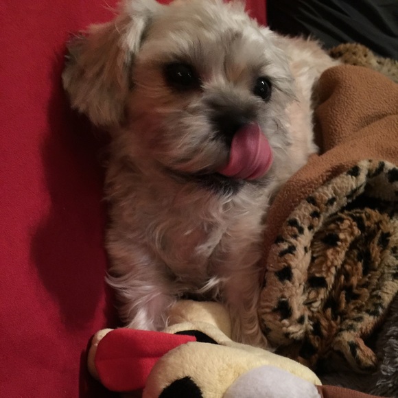 Meet your seller! - Picture 4 of 4