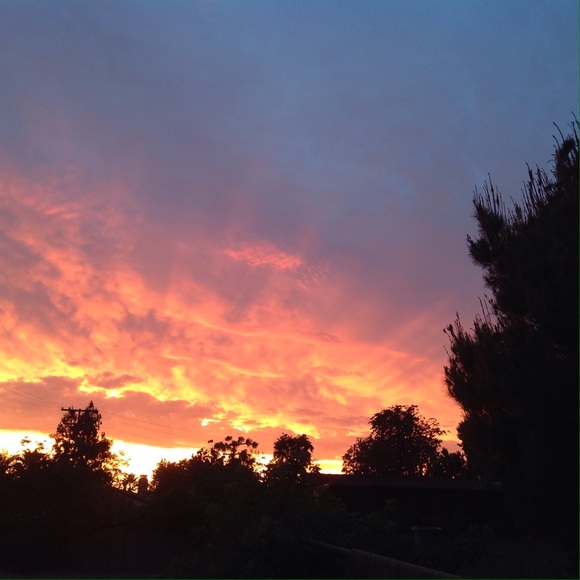 Meet rachaelposhy, POSh ambassador! β‘οΈππ»ππ - Picture 2 of 4