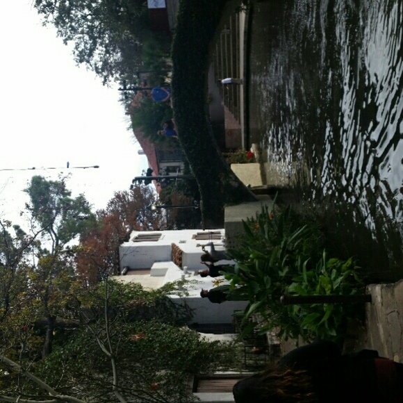 Meet Your Seller - Picture 3 of 5