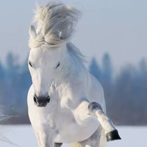 Meet your Posher, Christie