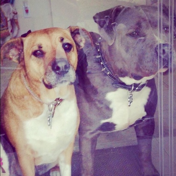 Hey ladies 💁🏻 💋 - Picture 3 of 4