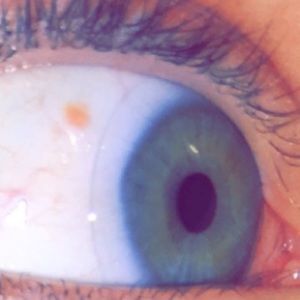 Meet your Posher, Lexi