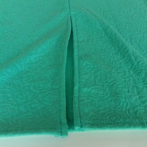 PRICE FINAL! NWOT Stretchy Pencil Skirt - Picture 3 of 4