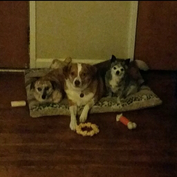 Cathy :) - Picture 4 of 4