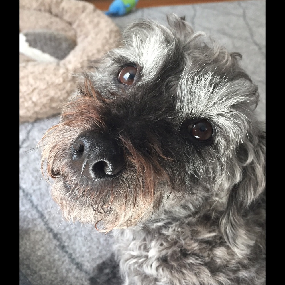 Meet your Posher, Jenn