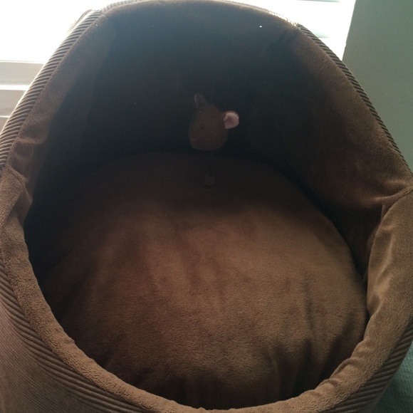 Cat cove bed by Martha Stewart. Reserved for divas