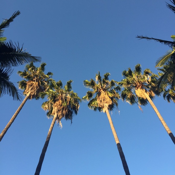 Hi! I'm Nicole! - Picture 2 of 4