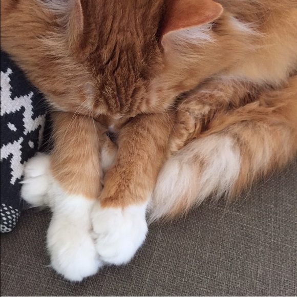 Hi! I'm Nicole! - Picture 4 of 4