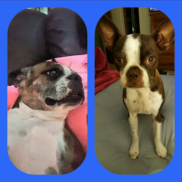 Meet Your Fellow Posher, Betty! ?? - Picture 3 of 4