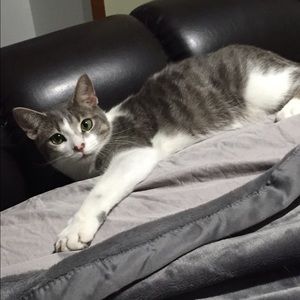 Meet your Posher, Nikki