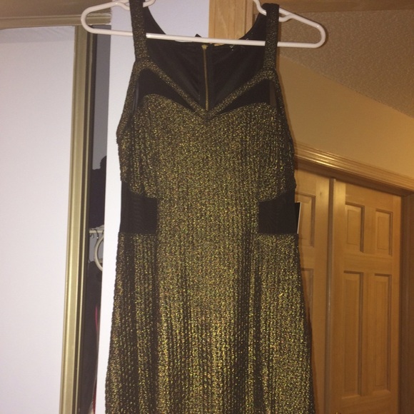 NWT Express dress. Shimmery gold color. Sheer!