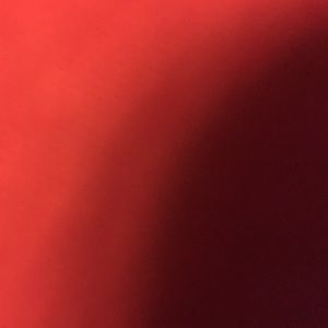 Meet your Posher, Briyanah