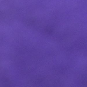 Meet your Posher, Elli