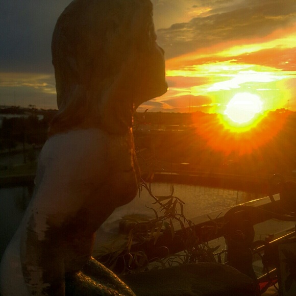 Meet your Posher - Picture 1 of 17