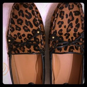 Clarks Womens Driving Moc Slip On, Leopard