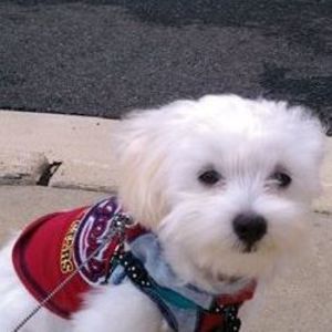 Meet your Posher, Jenny