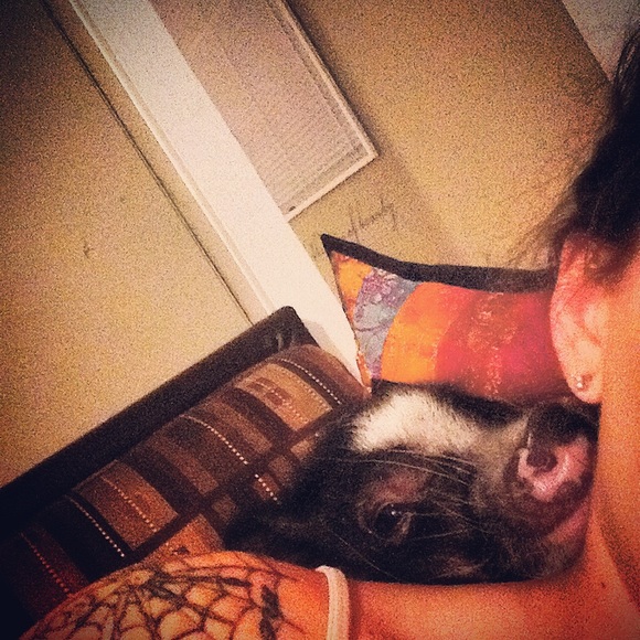 MEET YOUR SELLER - Picture 4 of 4