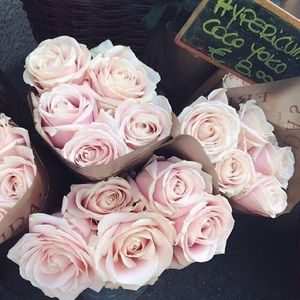 Meet your Posher, Destiny