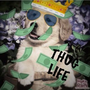 Meet your Posher, Andres