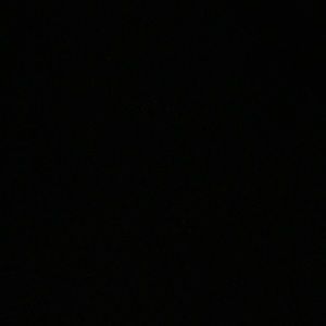 Meet your Posher, Sophia