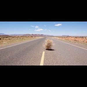 Meet your Posher, Kori