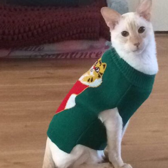 ABOUT YOUR SELLER/BUYER 💖 - Picture 2 of 3